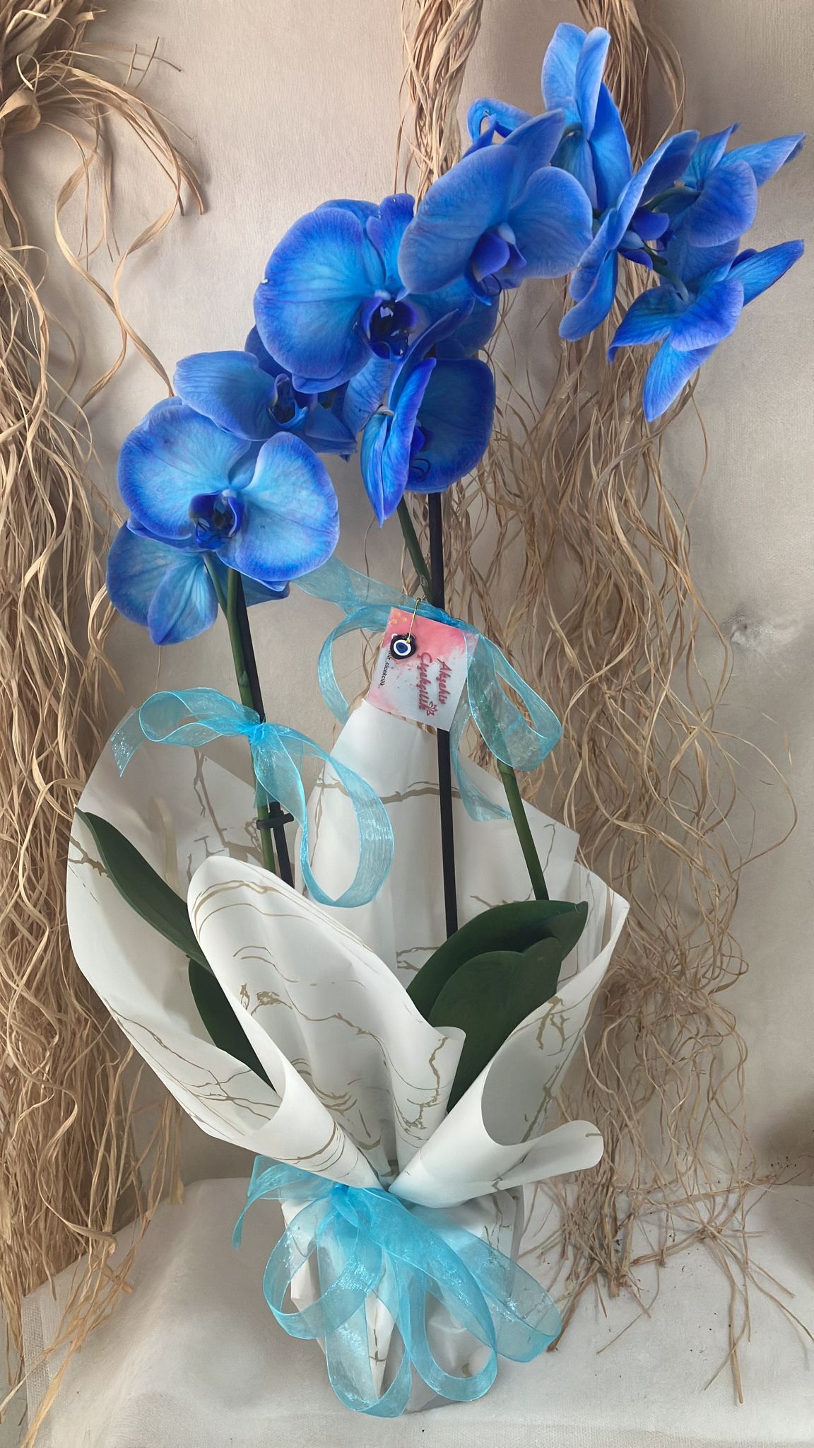 Mavi Orkide  (Like Marka)